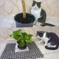 thumbnail image 3 of Epine Anti-Cat Mat Garden Grid Anti Dogs, Cats Pets 300 x 30 cm, 3 of 5