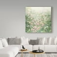 thumbnail image 3 of Trademark Fine Art 'Dreamy Pink' Canvas Art by Julia Purinton, 3 of 3