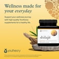thumbnail image 7 of Youtheory Shilajit - PrimaVie Himalayan Shilajit Capsules - Supports Energy, Stamina & Endurance* - Gluten Free - 60 Capsules (30-Day Supply), 7 of 7