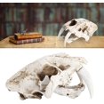 thumbnail image 2 of Skull Model Skull Specimens Simulation Animal Skull Model Resin Tiger Skull Model Interior Decoration Props Ornaments Tyrannosaurus Skull Dinosaur Specimens Resin Crafts Study Decoration, 2 of 6