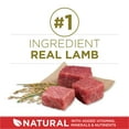 thumbnail image 4 of Purina ONE Dry Dog Food Lamb and Rice Formula 8 lb. Bag, 4 of 11