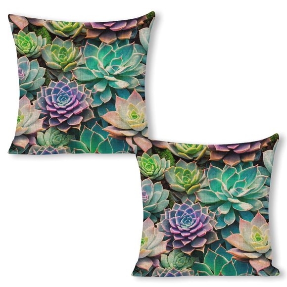 Stunning Succulents Pillow Covers 18X18 Inch Set Of 2 Art Painting Decorative Throw Pillows Modern Artwork Square Couch Decor For Living Room Couch Home Chair