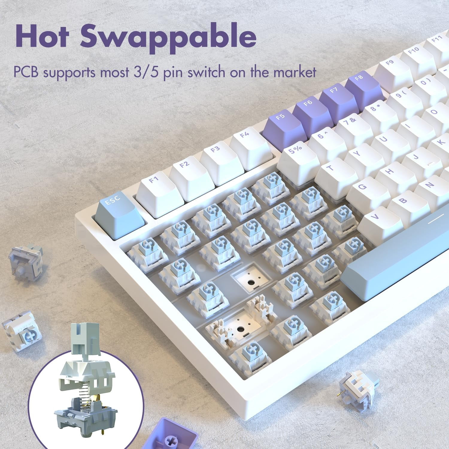 AJAZZ AK820 Mechanical Keyboard with CNC Knob Control, 75% ANSI Layout, 81Keys Gasket Mount Wired Gaming Keyboard, 5 Sound Absorbing Foam Hot-swap for PC, MAC