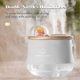 thumbnail image 2 of Humidifiers for Bedroom 400mL Double Spray Humidifiers with Warm White Light Cute Animal Shaped Cool Mist Humidifier Portable Low Noise Desk Humidifie, 2 of 5