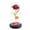 Hot Pink, variant on Gold Foil Rose Lampshade with LED Lights Glass Dome Display, Valentine's Day Ornament Decorative Desktop Home Decor Couple Anniversary Birthday Gift Romantic Warm Ambient Lighting
