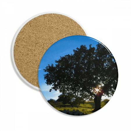 

Forestry Nature Scenery Coaster Cup Mug Tabletop Protection Absorbent Stone