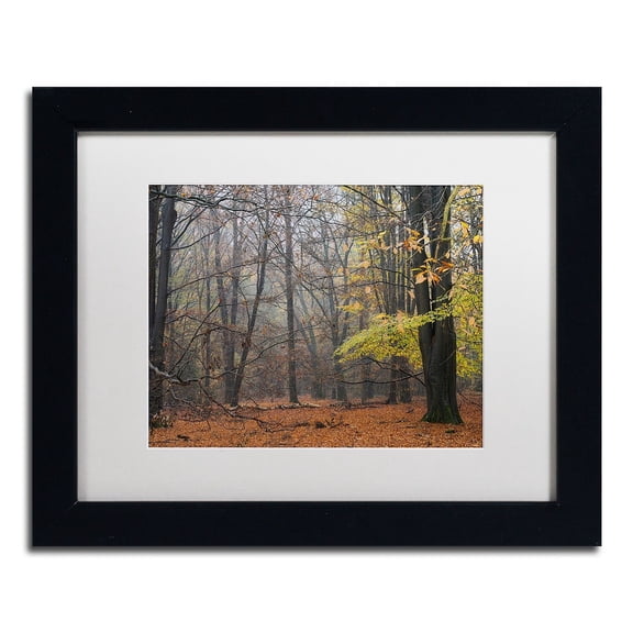 Trademark Fine Art 'Hazy Wood' Canvas Art by Cora Niele, White Matte, Black Frame