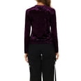 thumbnail image 3 of INSPIRE CHIC Women's Velvet Tops Round Neck Long Sleeve Casual T-Shirt 2XL Purple, 3 of 7