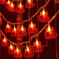 thumbnail image 4 of Luces de hadas Colco de 3 M 20 LED USB para Decoración Del Jardín, 4 of 8
