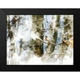 thumbnail image 2 of Young, Chamira 24x19 Black Modern Framed Museum Art Print Titled - Lost Bird II, 2 of 5