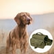 thumbnail image 1 of Perros Medianos Grandes Arnés Ajustable para Mascotas Sin Tirón Entrenamiento de Trabajo Control Fácil Chaleco para Mascotas Servicio Arneses verde l Yinane Paquete trasera de la alforja, 1 of 7