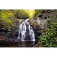 thumbnail image 3 of Head, Danny 24x17 Black Modern Framed Museum Art Print Titled - Spruce Flat Falls, 3 of 5