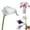 White, variant on Yunrong Calla Artificial Flowers Produces Artificial Flowers for Home and Wedding Decoration,Artificial Flower Yunrong Calla Artificial Flower Manufacturer for Home Decoration and Wedding