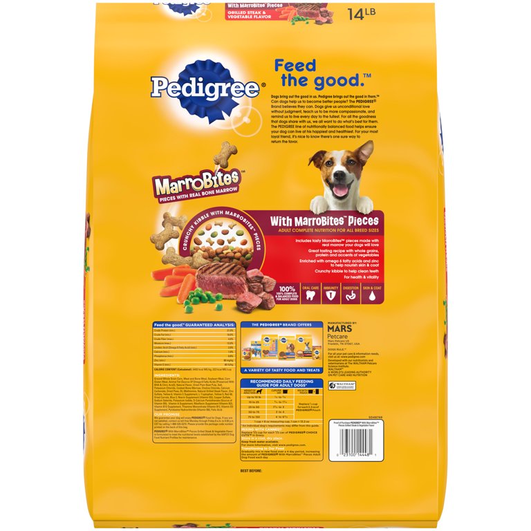 How To Make Dog Food More Tasty