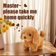 thumbnail image 2 of Electronic Plush Toys Puppy-Walking, Barking, Tail Wagging, Stretching Companion Animal for Kids Toddlers（Collar Saint Bernard [Pink]）, 2 of 5