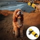 thumbnail image 4 of 1 juguete masticable de cuerda para perros, resistente a las mordeduras, interactivo, para mascotas., 4 of 7