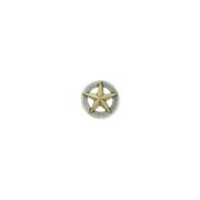 Tandy Leather 3-D Texas Star Concho 1-1/4" (32 mm) 11373-27