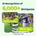 thumbnail image 4 of Birdfy Smart Bird Feeder with Camera, Solar Powerd Bird Feeder Camera, Birdfy Feeder Outdoor with AI Identify, Eco-friendly Wooden, Ideal Gift, Ebony, 4 of 11