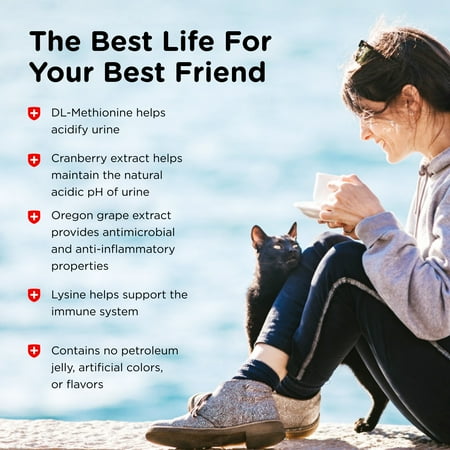 https://i5.walmartimages.com/asr/9ddac4d7-5b8d-45cf-be1e-a3c6ba7a6c55.4013a94484d232271d3bff7d1098702e.jpeg?odnHeight=450&odnWidth=450&odnBg=ffffff