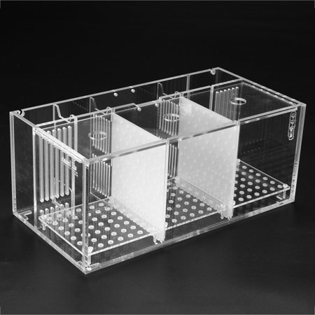 acrylic clear aquarium baby