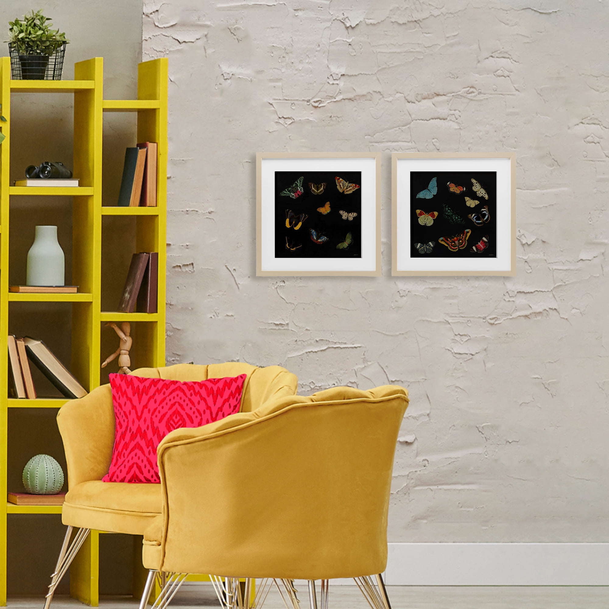 Stupell Industries Entomology Collection on Black 2 Piece Birch Framed Print Under Glass Set, design by Dan Meneely