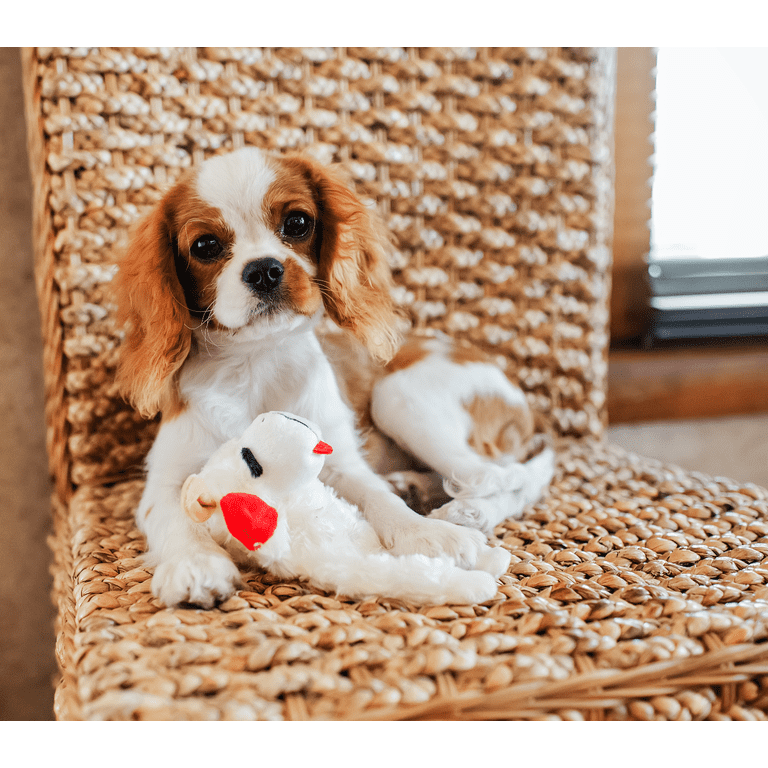 3 pack) Multipet Lamb Chop Plush Crinkle Flop Dog Toy, White with