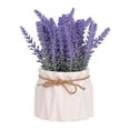 thumbnail image 3 of AMLESO Lavender Potted Plant Arrangement Flower Flower Pot for Hotel Kitchen Office B, 3 of 8