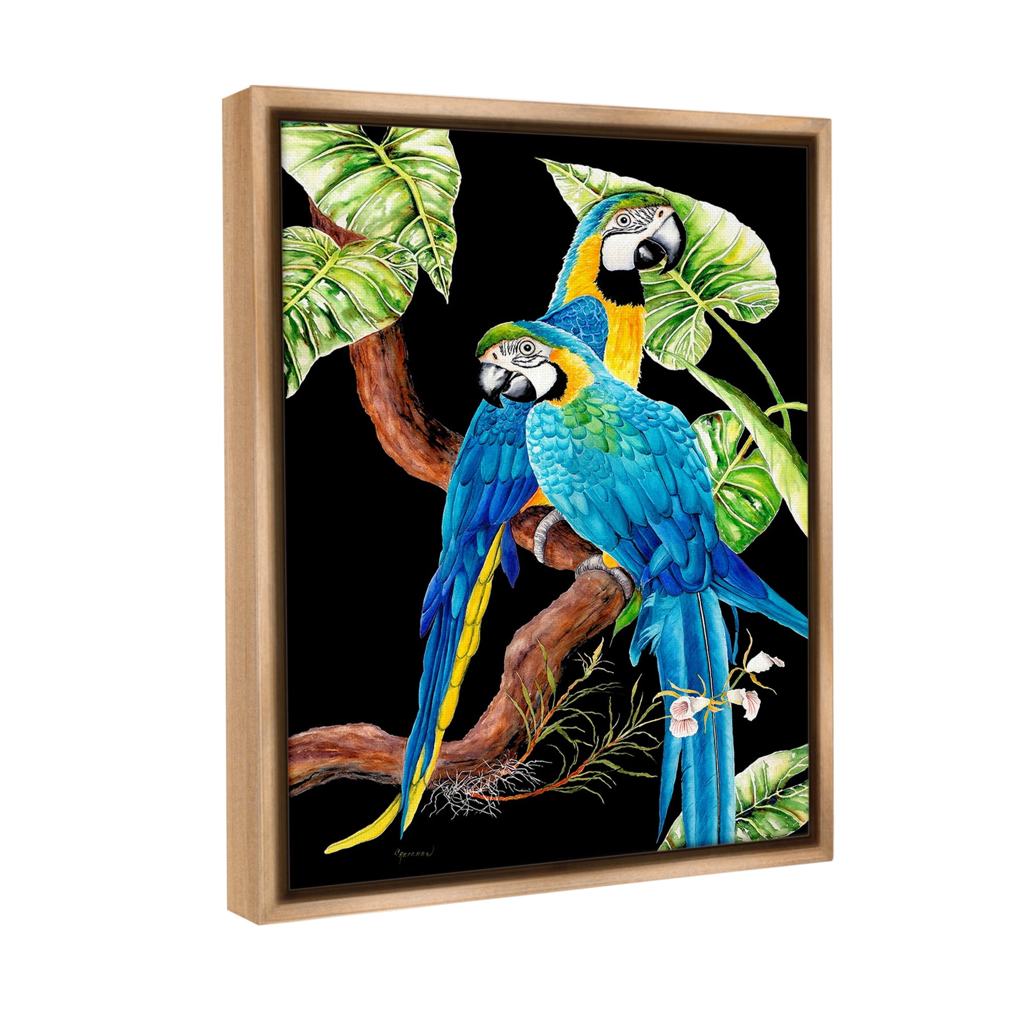 Stupell Industries Parrots Perched on Branch Animals & Insects Painting Brown Floater Framed Canvas Art Print Wall Art, 17 x 21