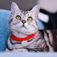thumbnail image 4 of 10pcs redondo de acero inoxidable Grabado de bricolaje Pet Etiquetas en blanco para perros y gatos Nombre de identificación de collar Identificación y decoración de mascotas, 4 of 8