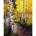 thumbnail image 2 of Kim, Gary 12x14 Black Ornate Wood Framed with Double Matting Museum Art Print Titled - Twilight Glow Over Aspen, 2 of 4