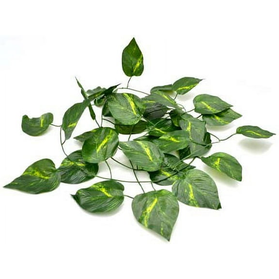 Jungle Reptile Vine