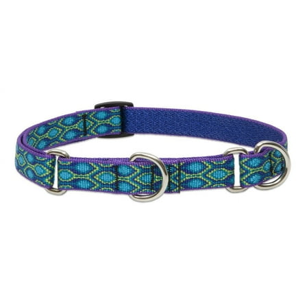 LupinePet Originals 3/4" Rain Song 14-20" Martingale Collar for Medium and Larger Dogs