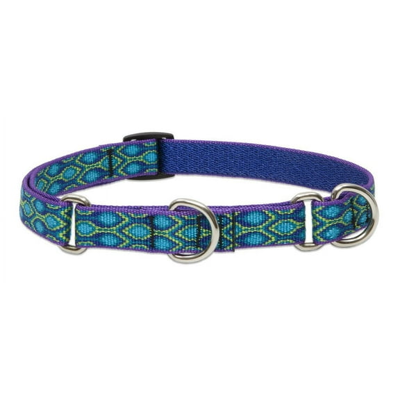LupinePet Originals 3/4" Rain Song 14-20" Martingale Collar for Medium and Larger Dogs