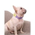thumbnail image 3 of Skksst Pet Collar Cat Dog Puppy Contrast Color Ajustable Step-in Harness Leash, 3 of 4