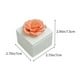 thumbnail image 3 of Fiudx Tarro de Cerámica, Organizador de Joyas Dorado Pintado a Mano, Elegante Candelabro, Decoración Versátil para Bodas, Regalo Perfecto para Cumpleaños, Elegante Detalle para El Hogar, Pieza Comple, 3 of 6