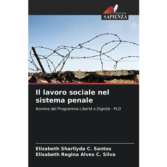 Il lavoro sociale nel sistema penale, (Paperback)