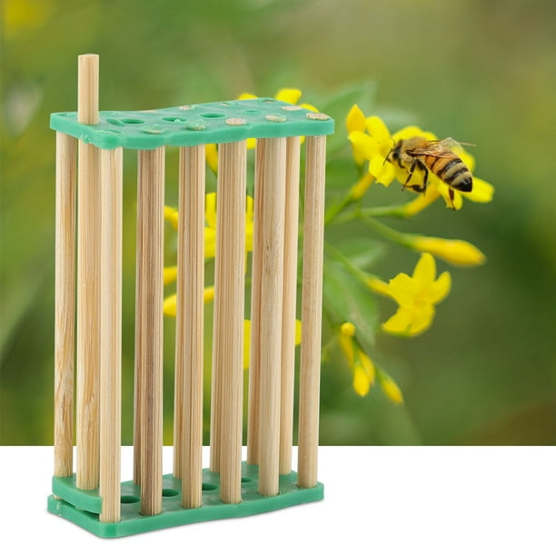 Mgaxyff Beekeeping Supplies,10 Pcs Queen Bee Bamboo Cage Beekeeper Tool