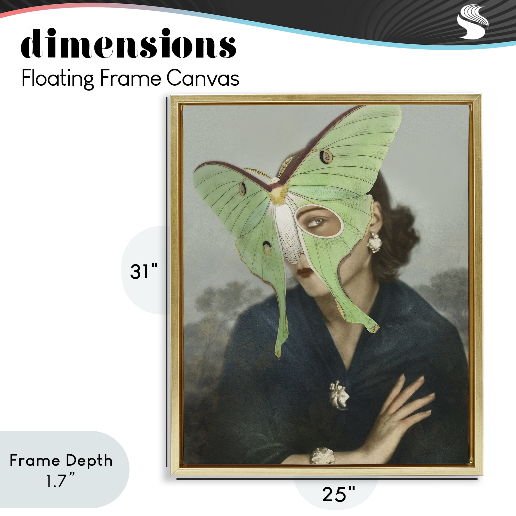 Stupell Industries Naturalist Portrait with Moth Gold Framed Floater Canvas Wall Art, design by Victoria Barnes