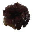thumbnail image 1 of 25 Car Limo wedding Decoration Plastic Pom Poms Flower 4" - brown, 1 of 1