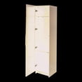 thumbnail image 5 of 15.75"D x 15.75"W x 70.87"H Stackable Cabinet, Black / Wall - Mounted for Kitchen Organization, 5 of 7