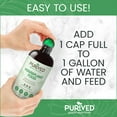thumbnail image 4 of 16oz All-Purpose Liquid Plant Fertilizer - Makes 50 Gallons, for Indoor Houseplants, All-Natural, Groundwater Safe, Made in USA, 4 of 5