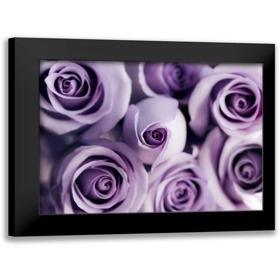 Telik, Tracey 14x12 Black Modern Framed Museum Art Print Titled - Lavender Bouquet