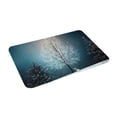 thumbnail image 2 of Daiia Design Name Door Mat Outdoor Indoor Hello Doormat, 16x24 Inch,Entry Rug Non-Slip Washable Indoor Door Mat, Small Oriental Accent Throw Rug For Bedroom Kitchen Entryway Bathroom, 2 of 9