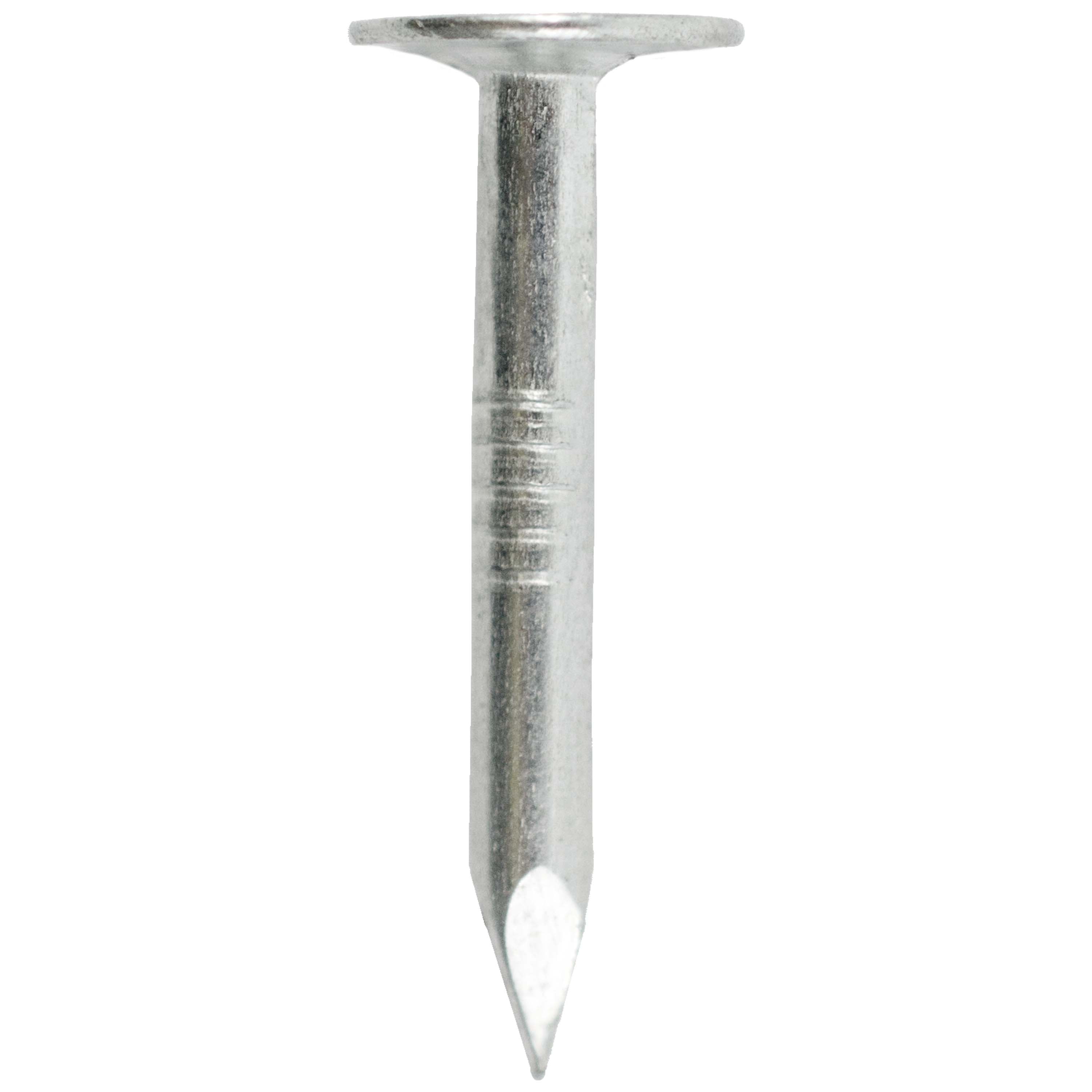 (3 pack) Grip-Rite #11 x 1-1/4 in. Electro Galvanized Roofing Nails 1lb.
