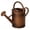 Bronze, variant on 1-Gallon Steel Watering Can with Removable Sprinkler Head Ideal for Indoors & Outdoors, Bronze