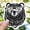 3pcs, variant on Papa Bear Dad Papa Daddy Dad Bear Father Sticker