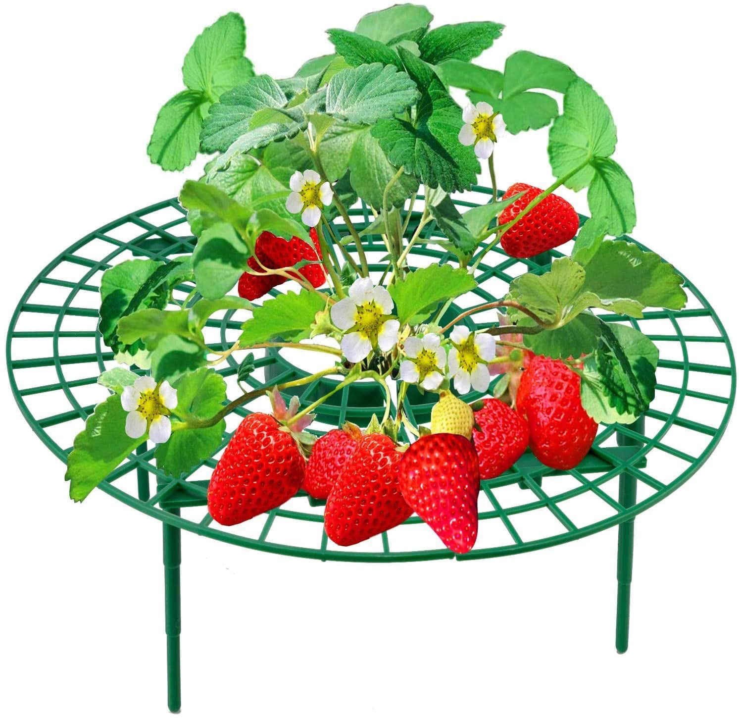 Dailing 10pcs Strawberry Supports Rot and Dirt Strawberry Plant Stand Support Frame Vegetables Flowers Growing Racks Fruit Plant Support Stand Protection of Strawberry Plants from Mold