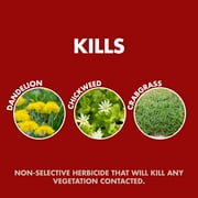Spectracide Weed & Grass Killer, Use On Patios, Walkways and Driveways, 1 gal.