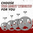 thumbnail image 7 of Signature Fitness Standard Cast Iron 1-Inch Weight Plate Set, 120LB Total (25LB x2, 10LB x4, 5LB x4, 2.5LB x4) for Strength Training & Weightlifting, 7 of 7