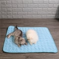 thumbnail image 3 of Pet Cooling Mat Breathable Absorb Body Heat Cotton Soft Large Summer Ice Pet Cushion for Puppy, 3 of 7
